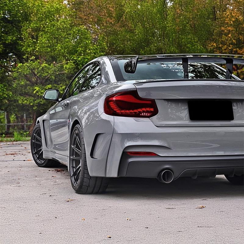 BMW 2 Series/M2 (F22/F87) GTS OLED Style Rear Tail Lights (Plug and Play)